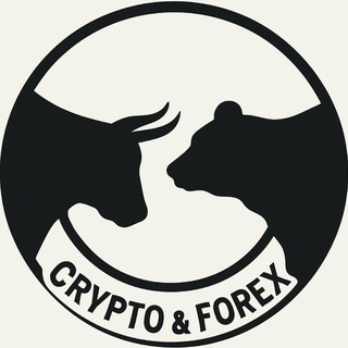 Telegram profile photo for CRYPTO & FOREX π
