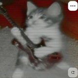 Telegram profile photo for Разговорчики