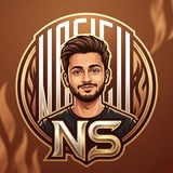 Telegram profile photo for NS Team