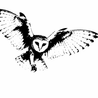 Telegram profile photo for молодаяроссия