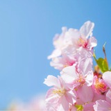 Telegram profile photo for СЕКРЕТЫ КРАСОТЫ И ЗДОРОВЬЯ