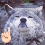 Telegram profile photo for ᚢᚣᛒᛊᚳ ᛕᚹⰓᛆᚳᛟᛒ