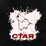 Telegram profile photo for СТАЯ