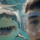 Telegram profile photo for ##квесли!