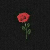 Telegram profile photo for | چند لحظه با من |