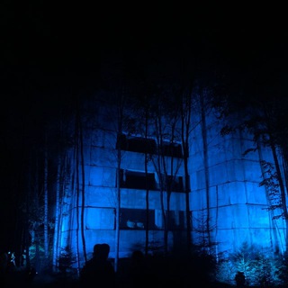 Telegram profile photo for forbidden.rave.diary