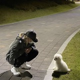 Telegram profile photo for мёртвый художник.
