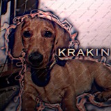 Telegram profile photo for 😈Кракин😈