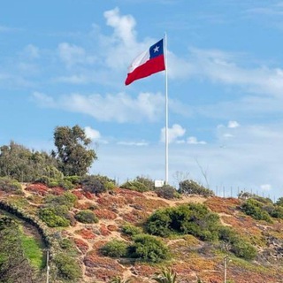 Telegram profile photo for Жизнь в Чили🇨🇱