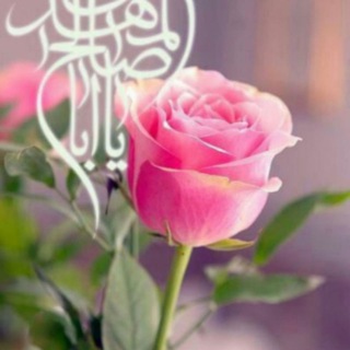 Telegram profile photo for کلبه آرامش خاطر( مشهد)