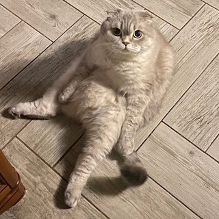 Telegram profile photo for Блядский цирк