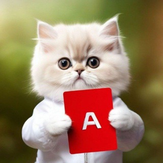 Telegram profile photo for СФОРЛИ|Заработок на картах
