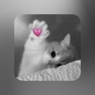 Telegram profile photo for Шаблоны для вп