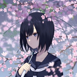 Telegram profile photo for 纷飞的小窝