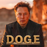 Telegram profile photo for Head of D.O.G.E (ELON)