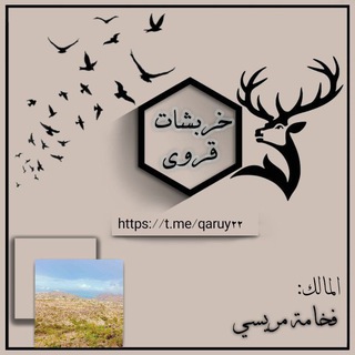 Telegram profile photo for خـربـ❝ـشات قـꨃـروي🚸