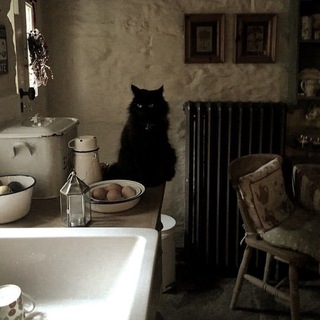 Telegram profile photo for Witch Club (ورژن فال)