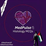 Telegram profile photo for Histology | MedPulse 🫀