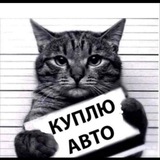 Telegram profile photo for ZorroAvto
