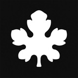 Telegram profile photo for FloraSculpt • Скала • Декоративные штукатурки •