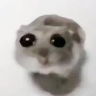 Telegram profile photo for Мемы, которые тебе зашли