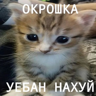 Telegram profile photo for Окрошка (18+)