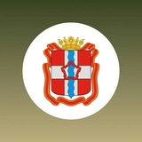 Telegram profile photo for Министерство регбезопасности Омской области
