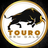 Telegram profile photo for 🔥TOURO ANÁLISES - FREE🔥