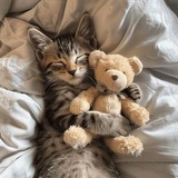 Telegram profile photo for Переходник