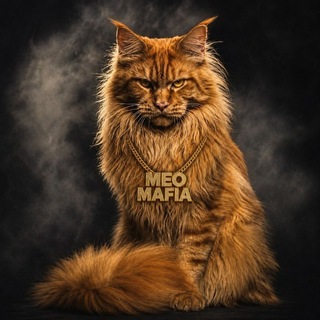 Telegram profile photo for گپ میویی |گپ گیفت میویی|گپ پیو پیو | گروه میومافیا😸🐾😼