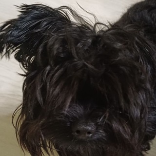 Telegram profile photo for Малыш:ТРЕЙДЫ СО2