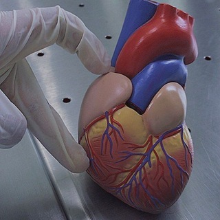 Telegram profile photo for Pinterest Medical