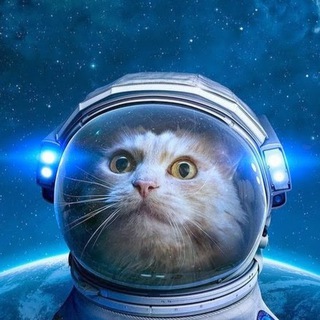 Telegram profile photo for Хьюстон, у нас п...