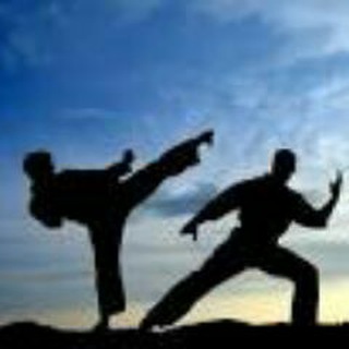 Telegram profile photo for Martial Arts