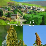 Telegram profile photo for 🌷⚘ زیـــویــــہ ⚘🌷