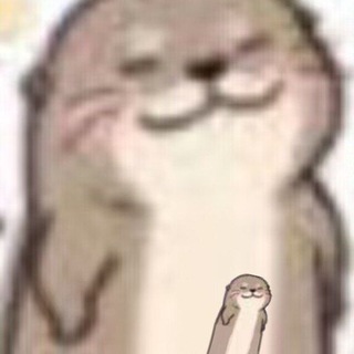 Telegram profile photo for 冲个豹子数555吧🌝🌚