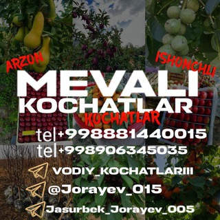 Telegram profile photo for МЕВАЛИ КУЧАТЛАР