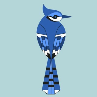 Telegram group profile photo for Вид сверху лучше 🐦