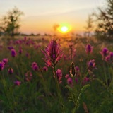 Telegram profile photo for Суровикино Live