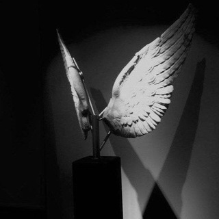 Telegram profile photo for darker