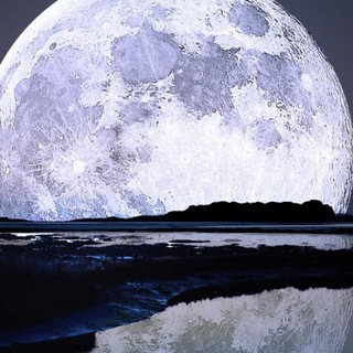 Telegram profile photo for دانستنيها