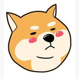 Telegram profile photo for Shib Finance Portal
