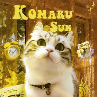 Telegram profile photo for ☀️Komaru sun☀️