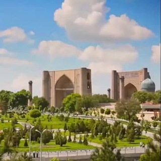 Telegram profile photo for Samarqand yangiliklari | Zarnews.uz