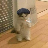 Telegram profile photo for кктнд о жизни🪷