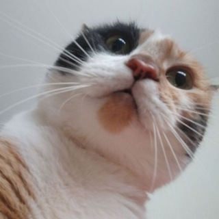 Telegram profile photo for переходник