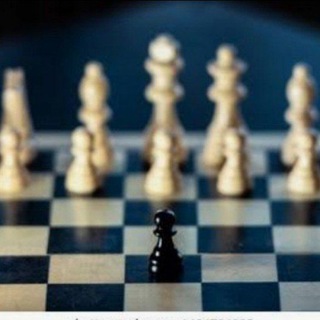 Telegram profile photo for Open otzivlar