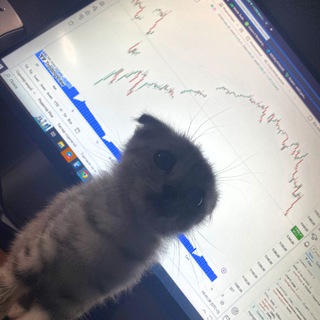 Telegram profile photo for AMIRI | О КРИПТЕ 💰