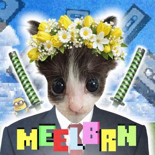 Telegram profile photo for meelbern