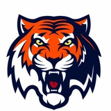 Telegram profile photo for قهرمانان و استعدادهای برتر